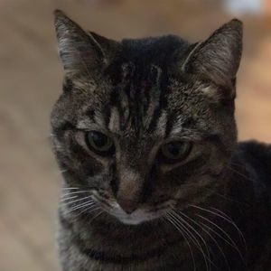 Meet your Posher, Jill